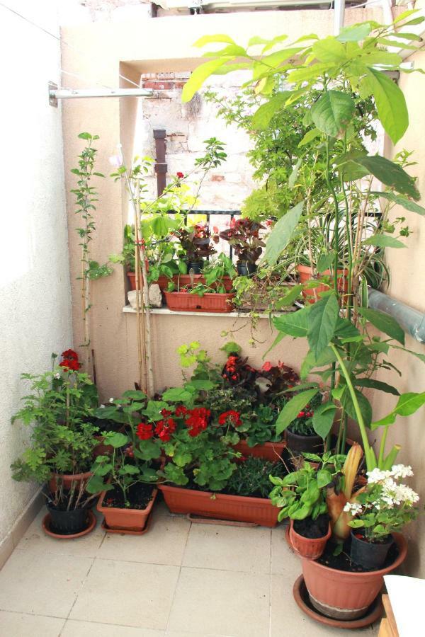 Apartment Bucevic Σίμπενικ Εξωτερικό φωτογραφία